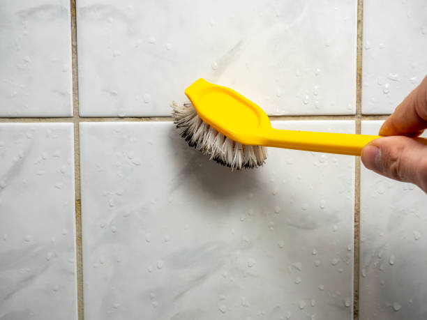 Best Best Mold Removal Companies  in Milford, NJ