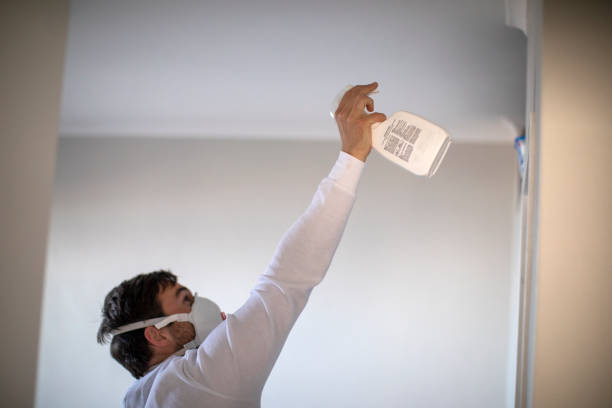 Best Mold Remediation  in Milford, NJ