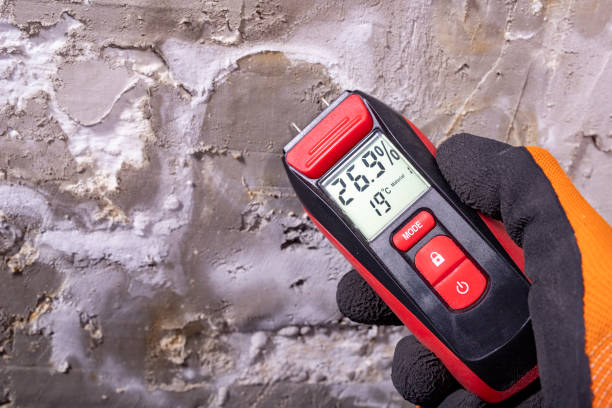 Best Mold Testing and Removal  in Milford, NJ