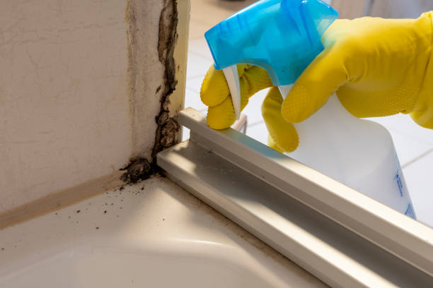 Best Certified Mold Removal  in Milford, NJ