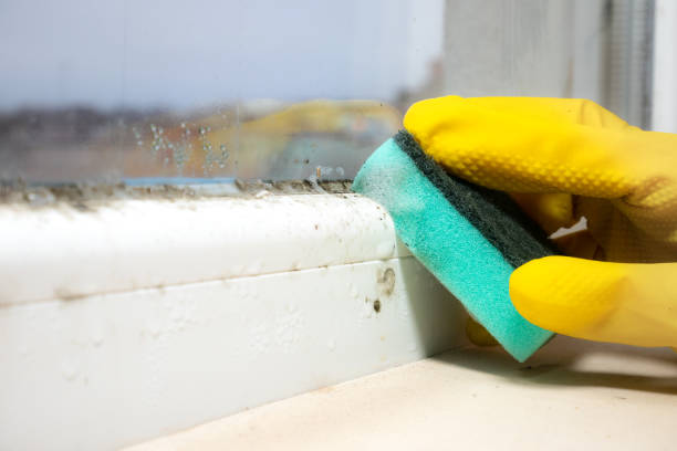 Best Professional Mold Removal  in Milford, NJ