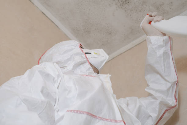 Best Same-Day Mold Removal  in Milford, NJ