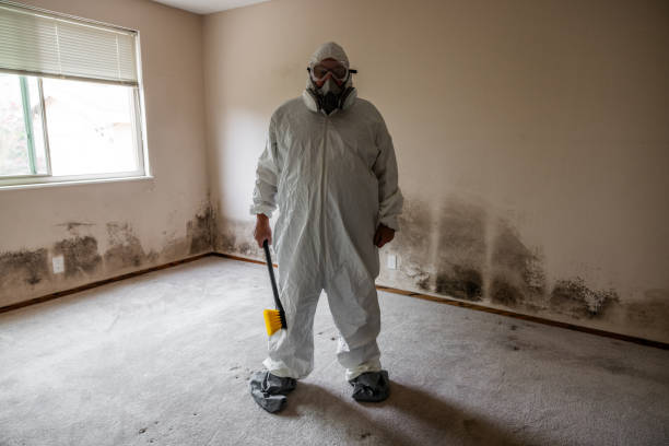 Best Fast Mold Removal  in Milford, NJ