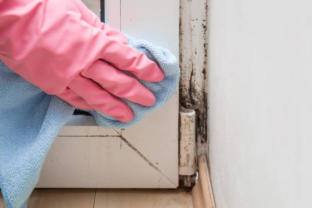 Best Crawl Space Mold Removal  in Milford, NJ