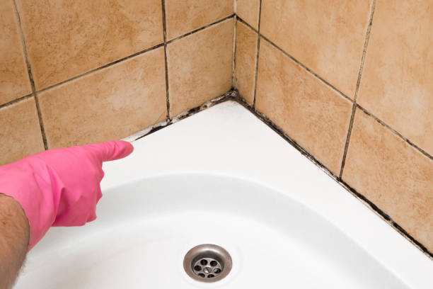Best Emergency Mold Removal  in Milford, NJ